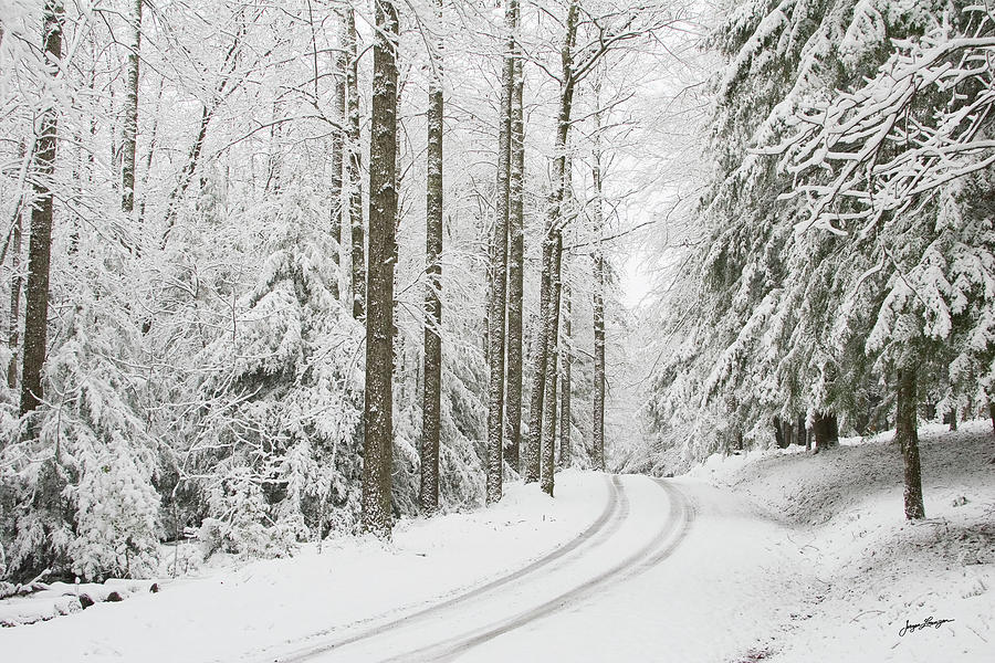 Winter Wonderland Photograph by Jurgen Lorenzen