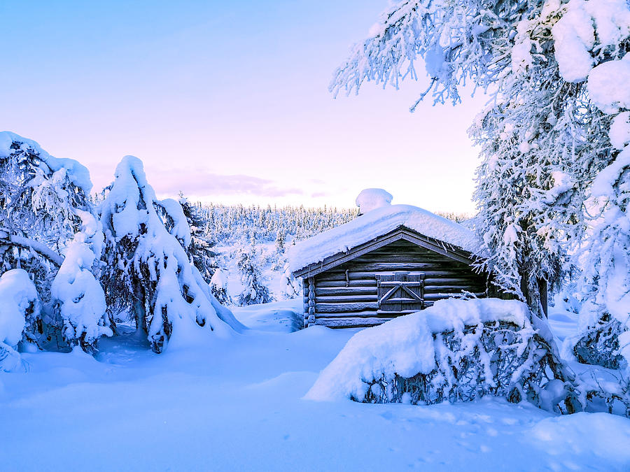 Winter wonderland Photograph by Kristin Huse - Fine Art America