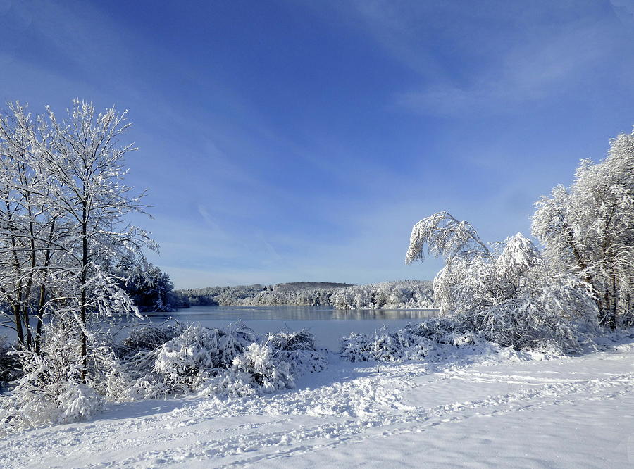 Winter Wonderland Photograph by Lyuba Filatova