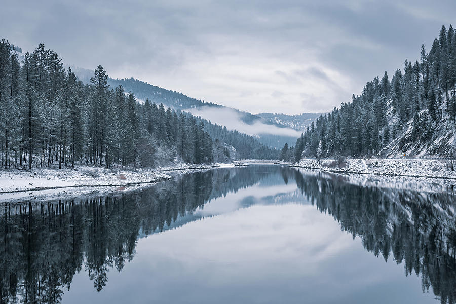 Tree Photograph - Winter Wonderland by Matthew Alberts