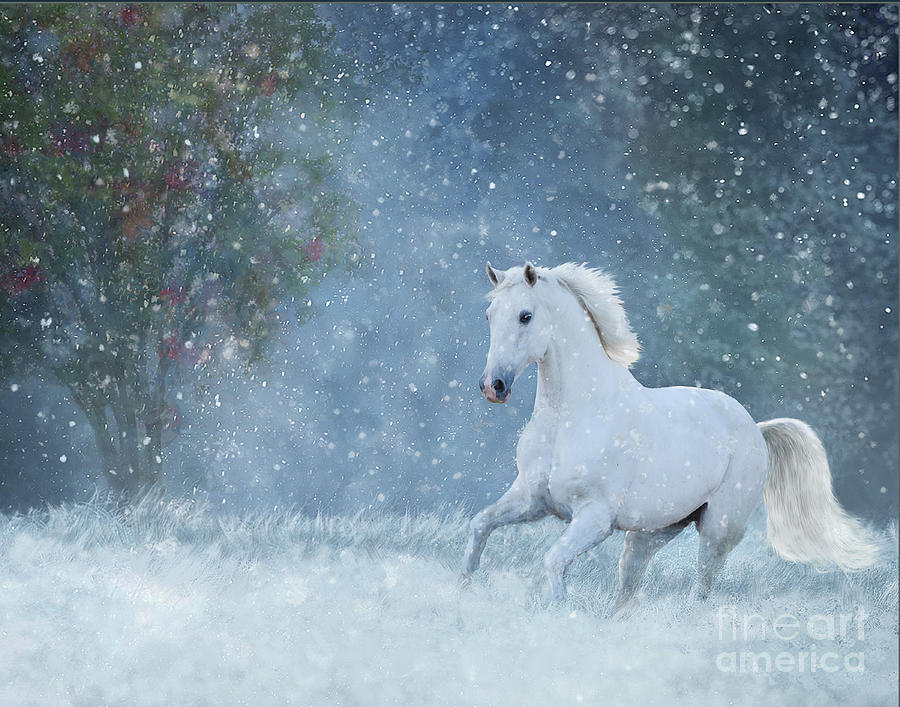 Winter Wonderland Digital Art by Melinda Hughes-Berland