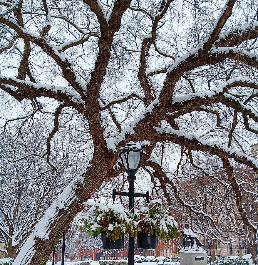 Winter Wonderland, Mount Vernon Place, Baltimore Photograph by Marcus Dagan