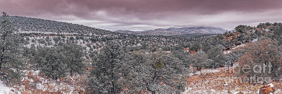 Winter Wonderland on the Way to McDonald Observatory - Fort Davis - Davis Mountains West Texas Photograph by Silvio Ligutti