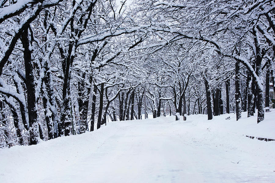 Winter Wonderland Road Photograph by David Lunde  Fine Art America