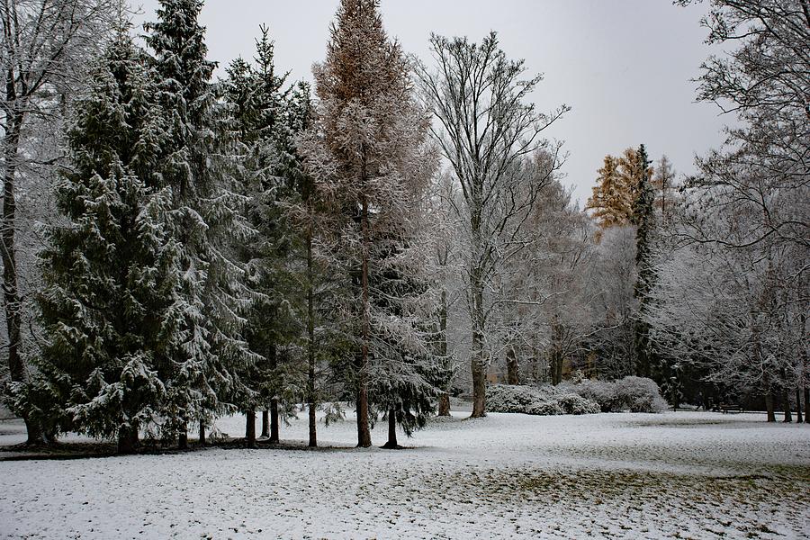Winter wonderland Photograph by Robert Grac