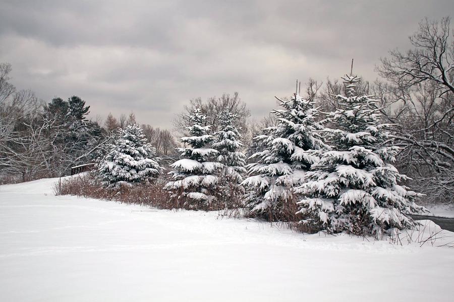 Winter Wonderland Photograph by Sheila Herrington - Fine Art America