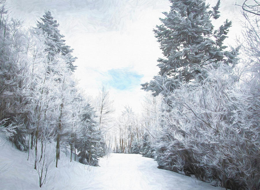 Winter Wonderland Photograph by Rebecca Herranen