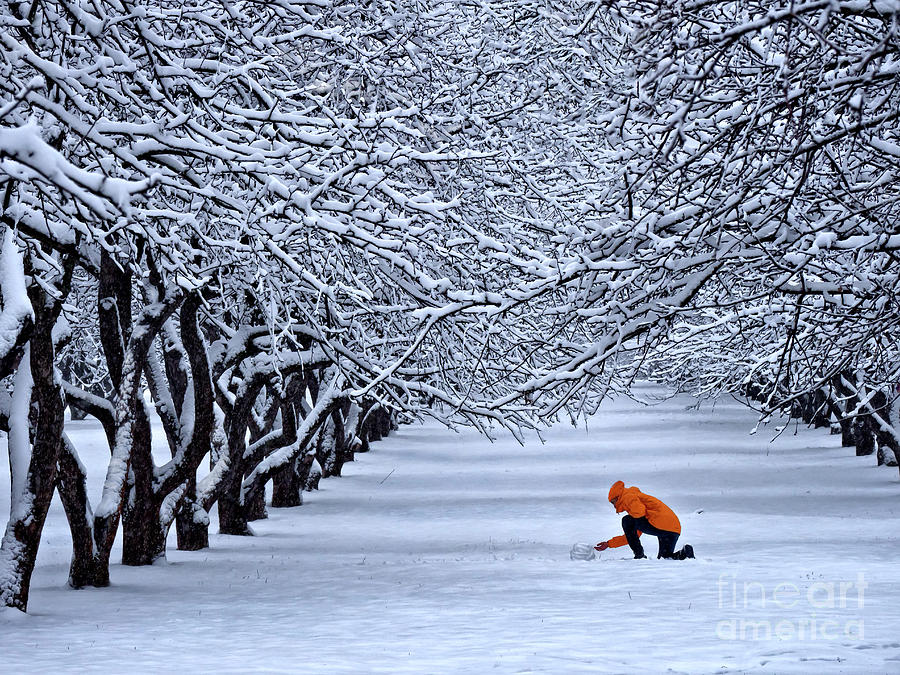 Winter Wonderland Trees Overlapping Branches Covered With Snow Boy In Orange Coat Is Making Snowman Photograph by Tatiana Bogracheva