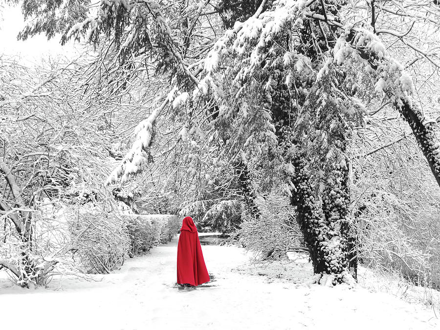 Winter Wonderland Walk II Photograph by Jessica Jenney