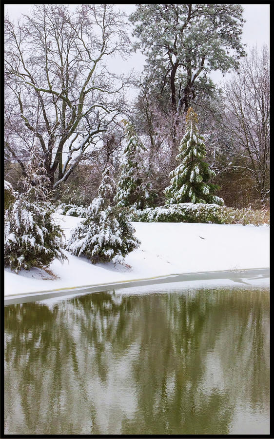 Winter Wonderland Water Reflection Photograph by Roberta Byram