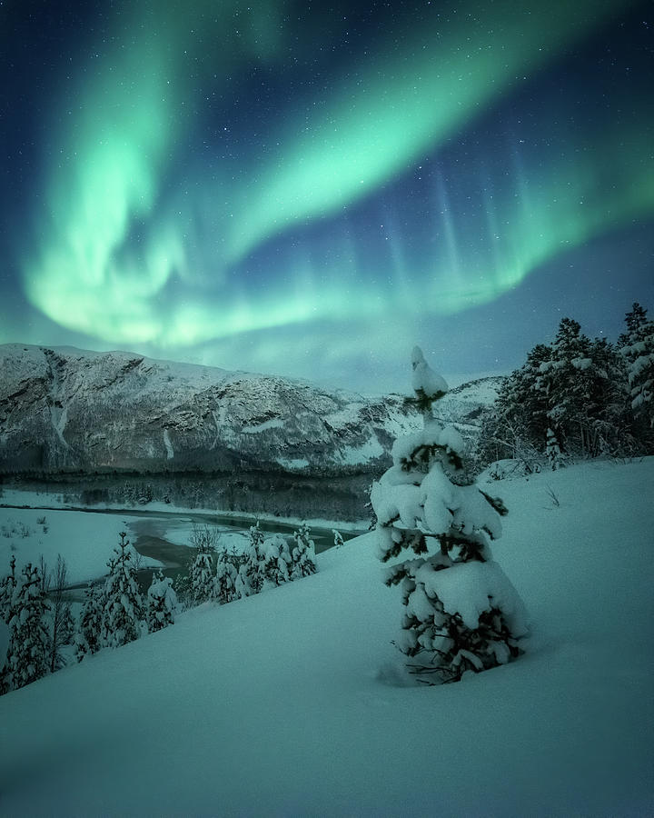 Winter Photograph - Winter Wonders by Tor-Ivar Naess