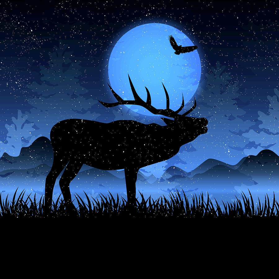 Winter Woodland Moose Digital Art by Doreen Erhardt