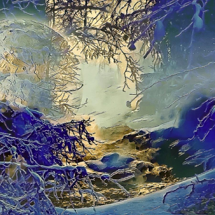 Nature Digital Art - Winter woodlands morning rise by Silver Pixie