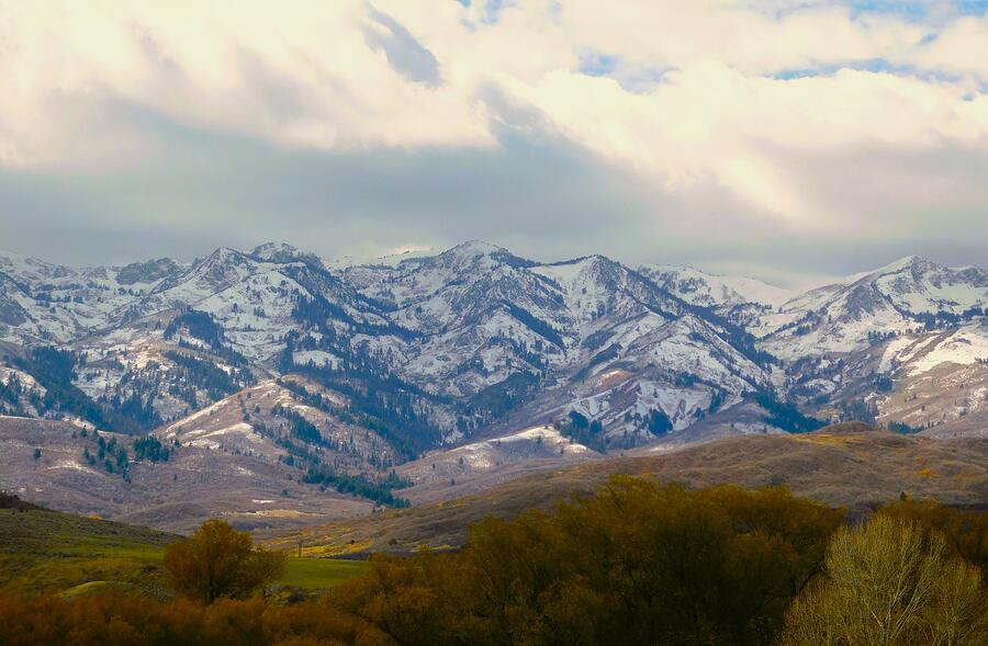 - Winter Wyoming Photograph by THERESA Nye