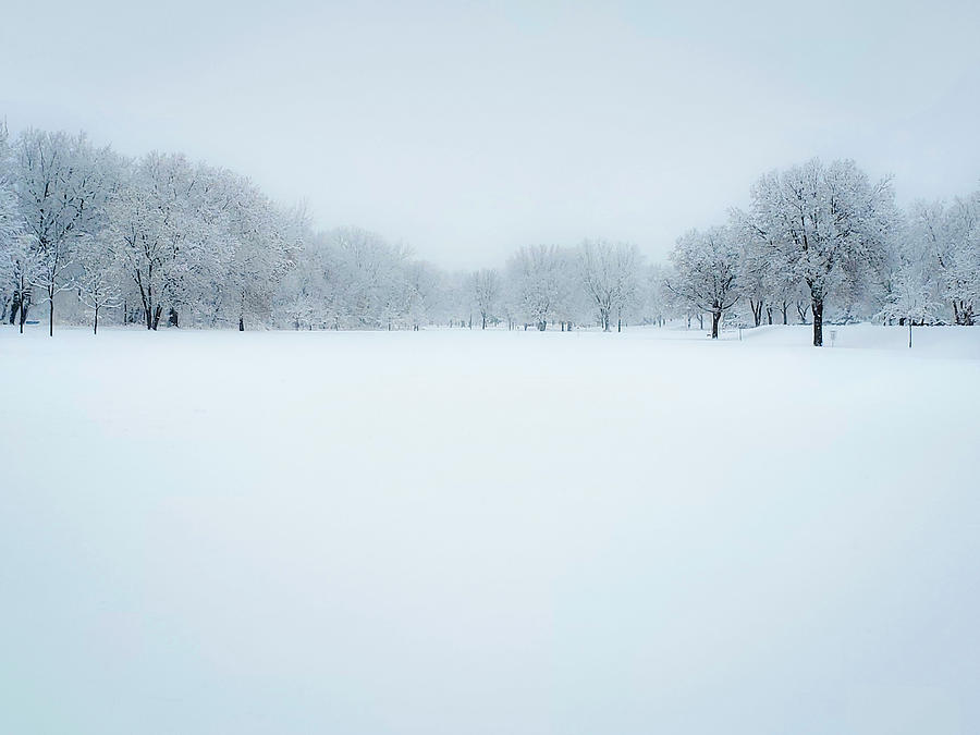 Winter Zen Photograph by Andrea Whitaker