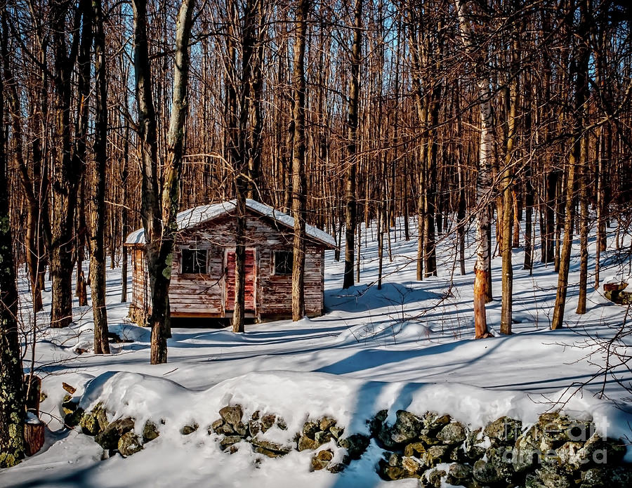 Winters Home Photograph by James Aiken