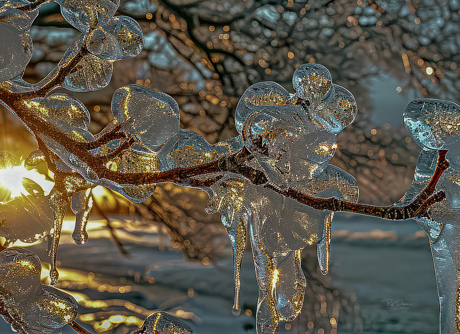 Winters Icy Amber Glow Photograph by Bill Posner