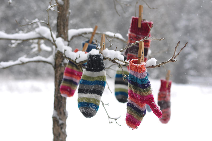 Winters Mitten Tree Photograph by Tina Marie Photography
