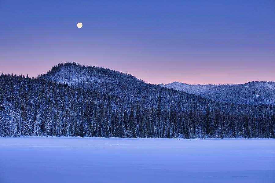 Winters morning at Dog Lake Photograph by Lynn Hopwood