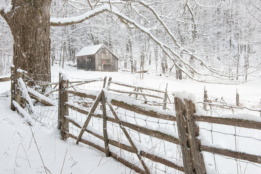 Vintage Old Barn in the Snowy Berkshires - Winters Mystique   Photograph by Thomas Schoeller Fine Art Photography