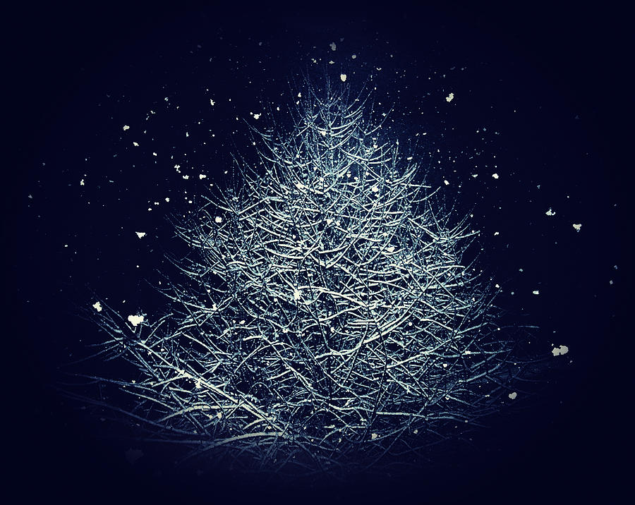 Winters Night Photograph by Micki Findlay