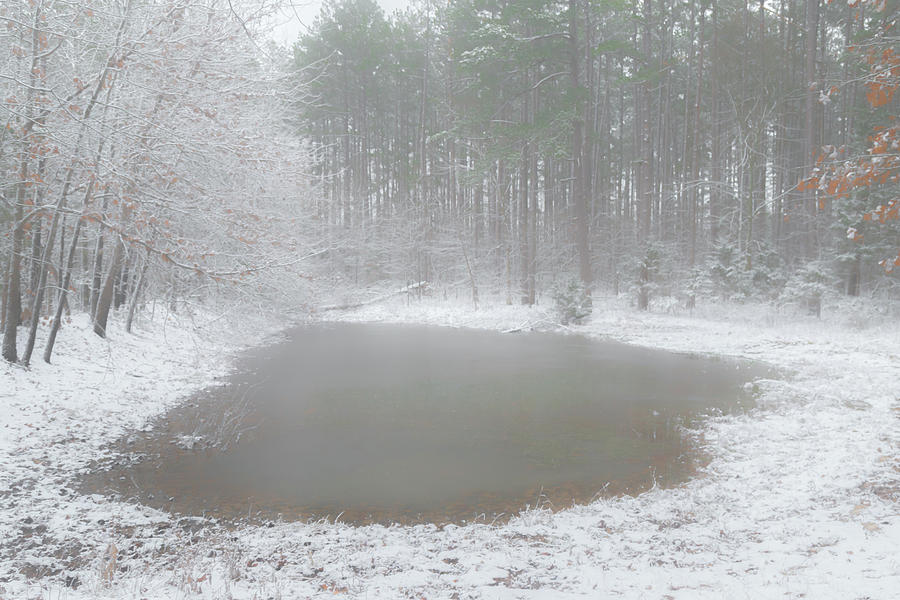 Winters Pond Photograph by Joe Kopp