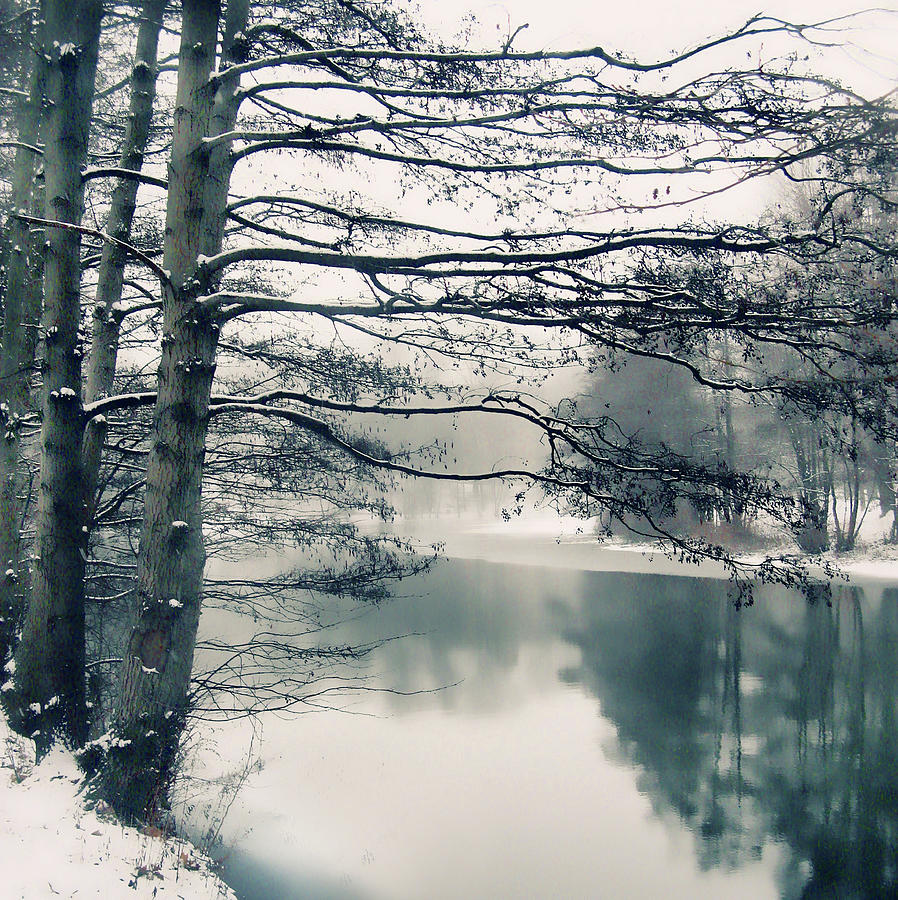 Winter Photograph - Winters Reach by Jessica Jenney