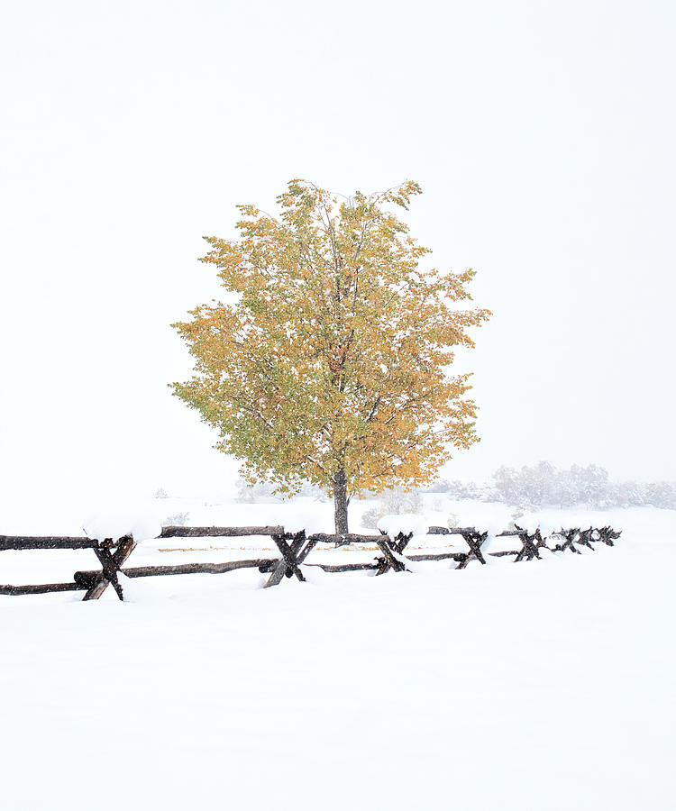 Winters Soldier Photograph by American Landscapes