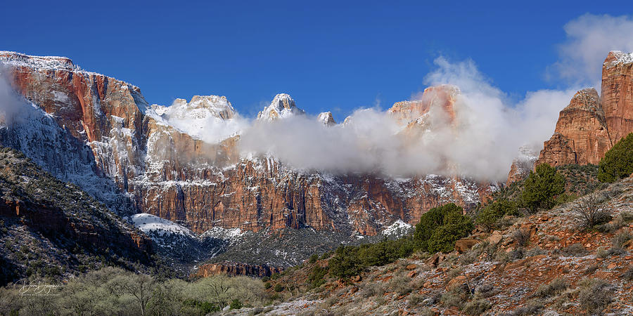 Winters Panoramic Suite in Zion National Park Photograph by Dave Diegelman