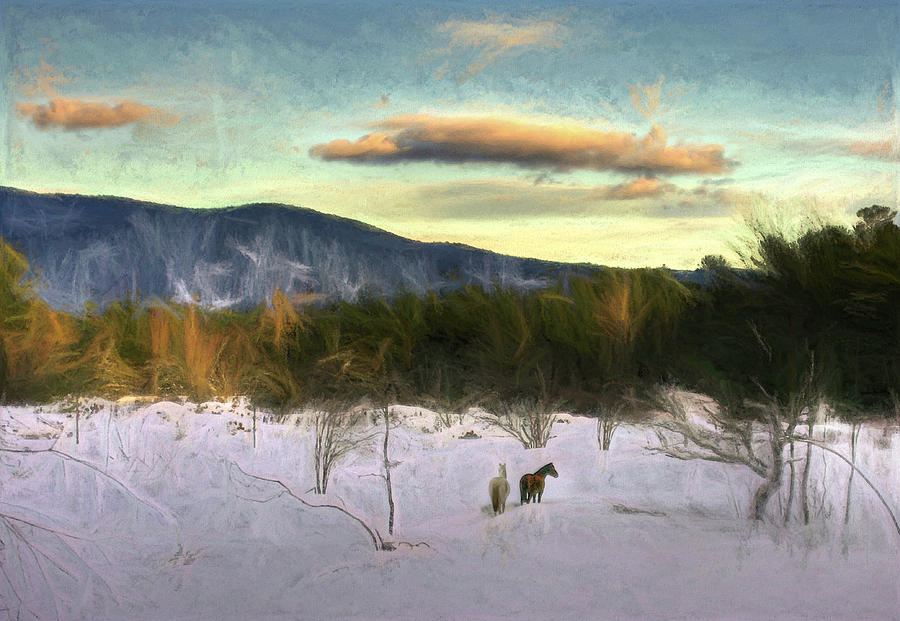 Winters Twilight Impressions Photograph by Wayne King