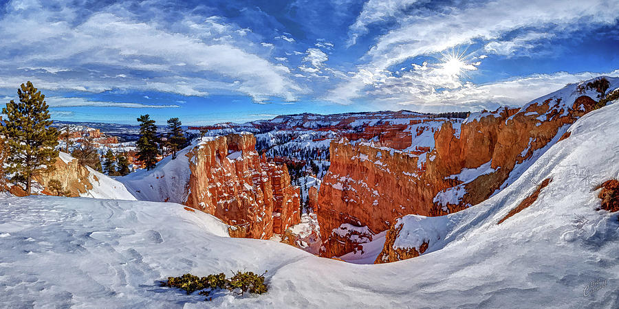 Winter's White Garden by ABeautifulSky Photography by Bill Caldwell Winter's White Garden by ABeautifulSky Photography by Bill Caldwell