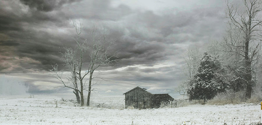 Winters Wrath Photograph by Mary Timman