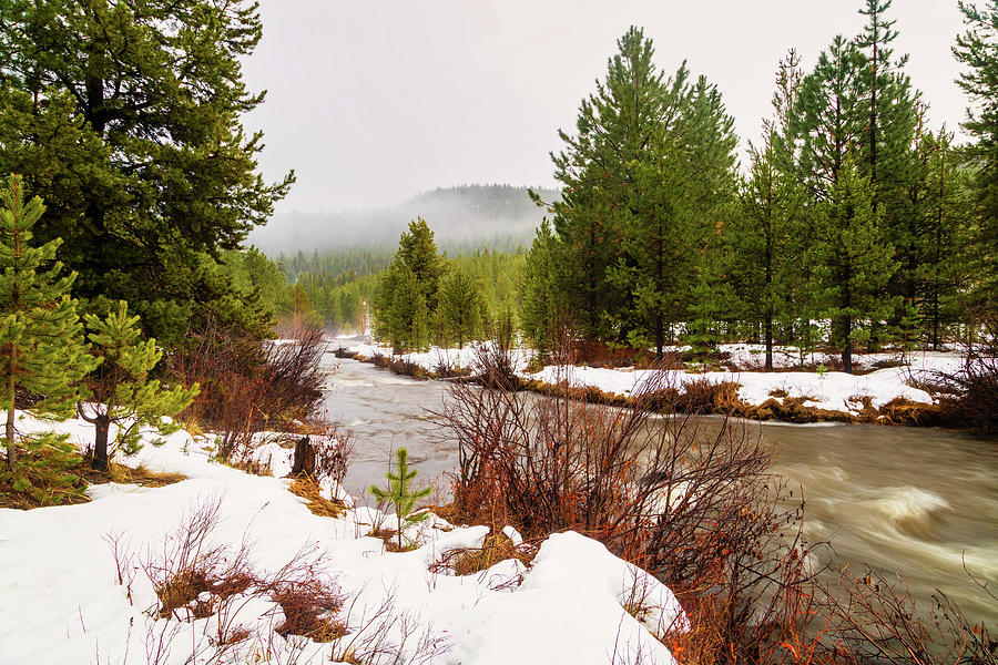Winterscape, Central Oregon Photograph by Aashish Vaidya