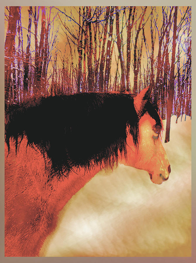 Wintertime Horse Portrait Digital Art