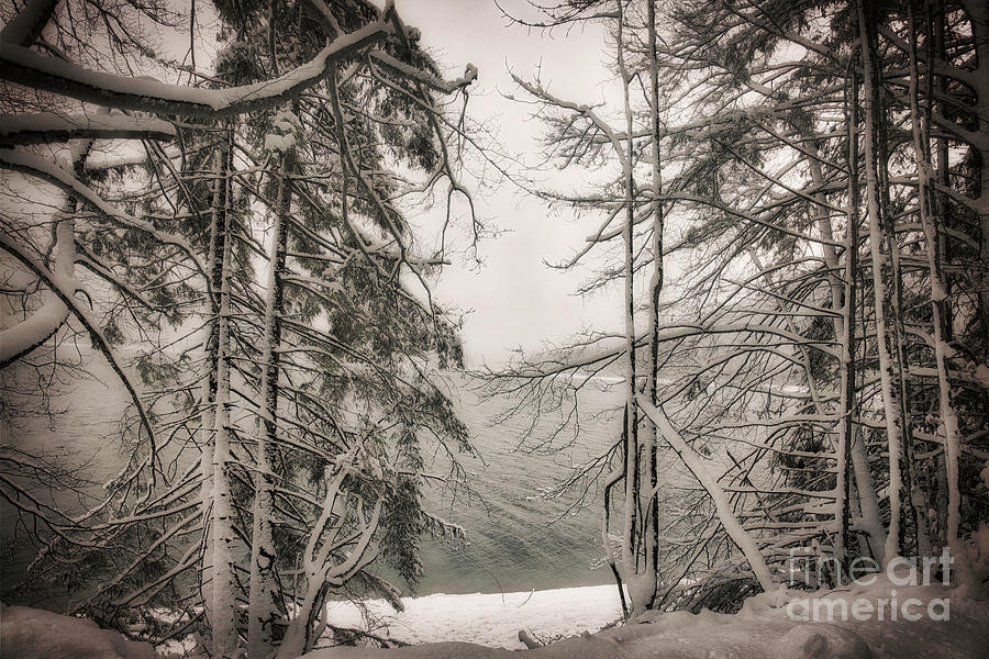 Wintertime in Bavaria Photograph by Edmund Nagele FRPS