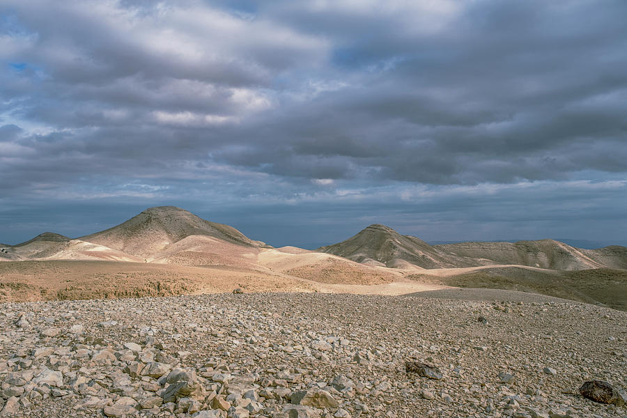 Wintertime in the desert Photograph by Dubi Roman