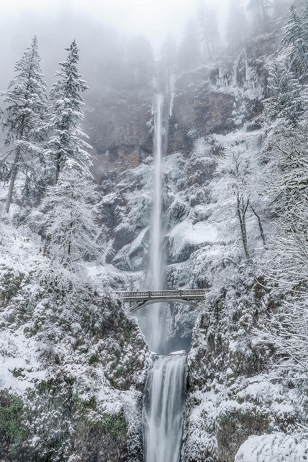 Wintery Multnomah Falls Photograph by Wes and Dotty Weber