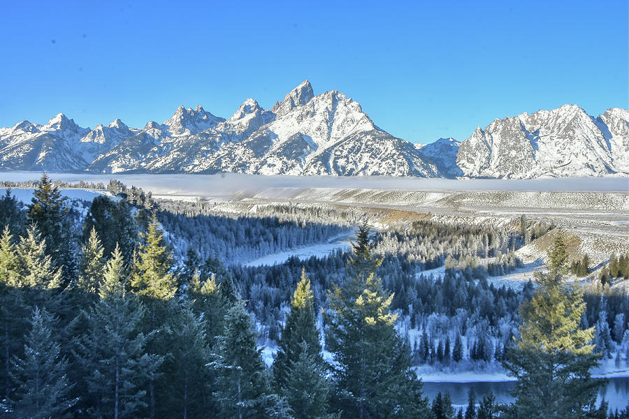Wintery Snake River overlook Photograph by Ed Stokes