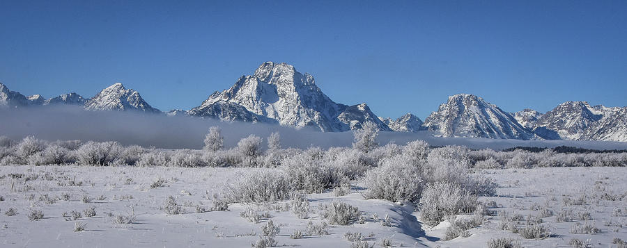 Wintery Willow Flats Photograph by Ed Stokes
