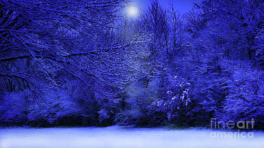 Wintry Moonlight Photograph by Cedric Hampton