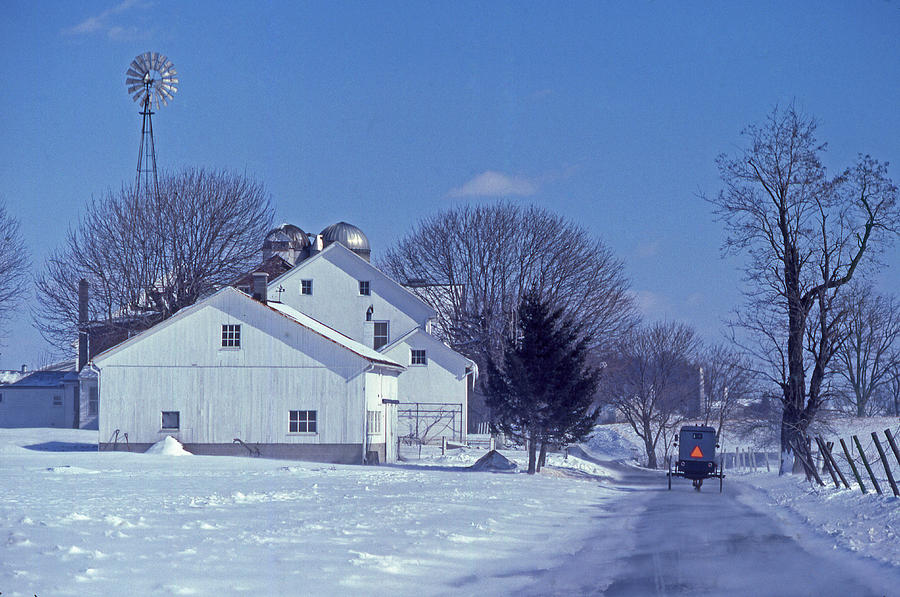 Winter Photograph - Wintry Snow Landscape Amish Buggy and Farm by Blair Seitz