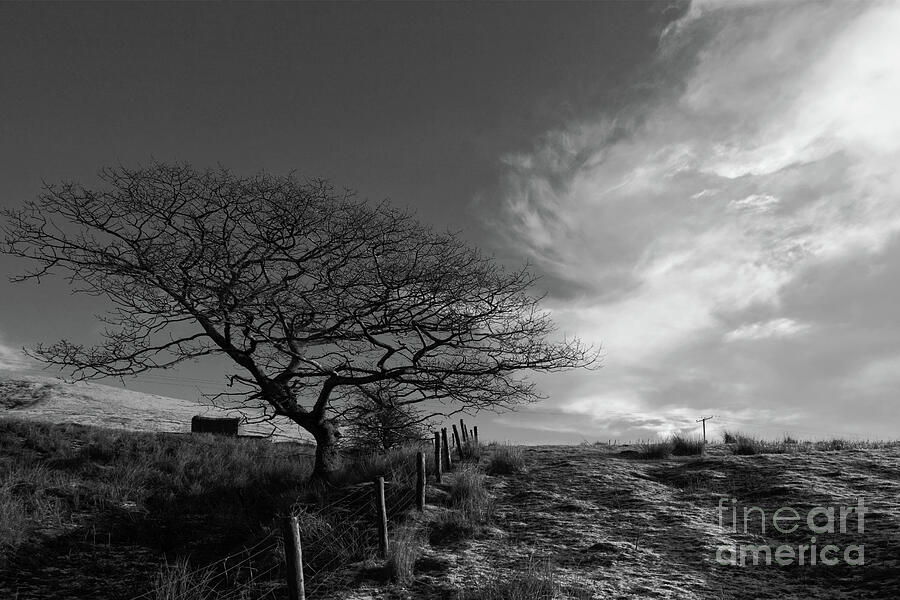 Wintry Wales in Monochrome Photograph by James Brunker