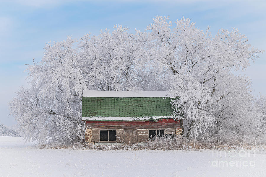 Wintry Wisconsin Photograph by Amfmgirl Photography