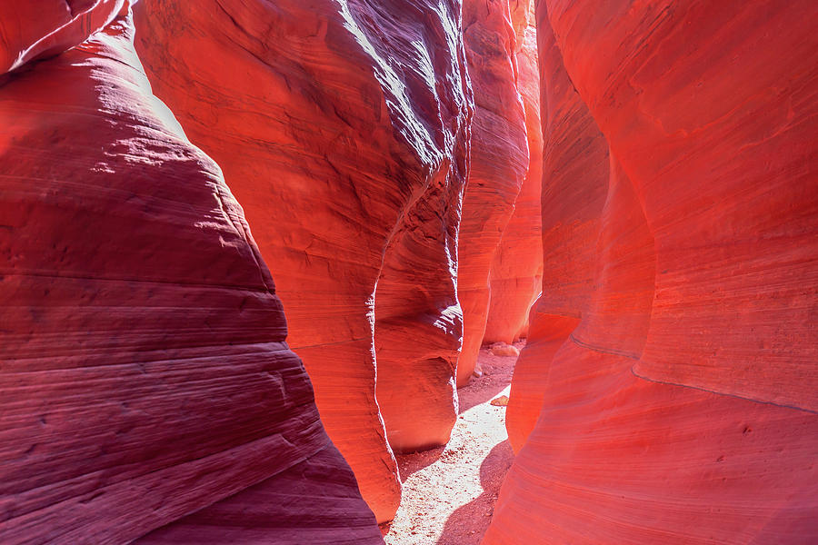 Wire Pass Slot Canyon Photograph by Marc Crumpler
