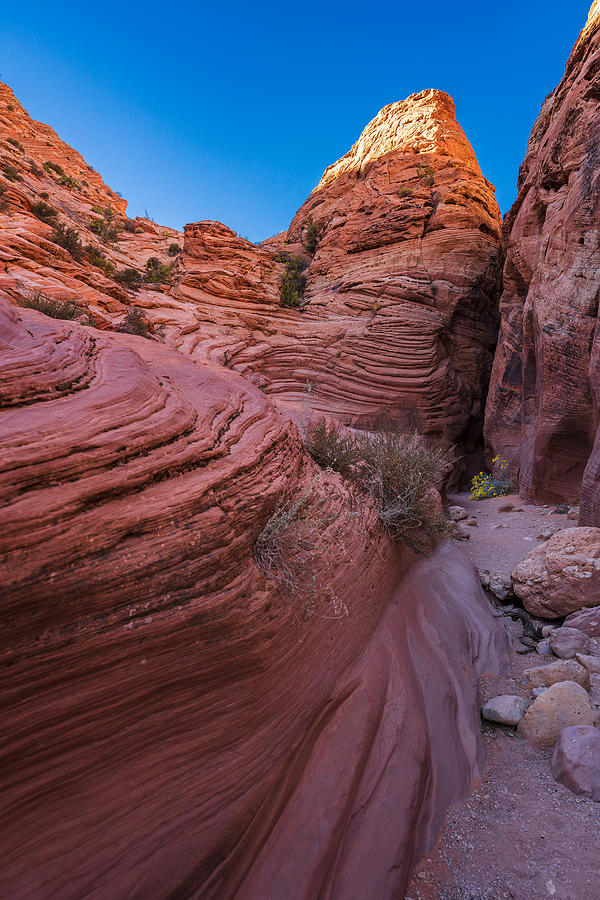 Wire Pass The Entrance Photograph by Doug Gramkow - Fine Art America