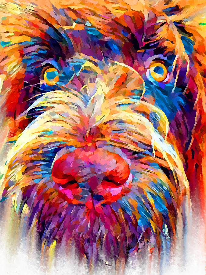 Wirehaired Pointing Griffon Painting by Chris Butler