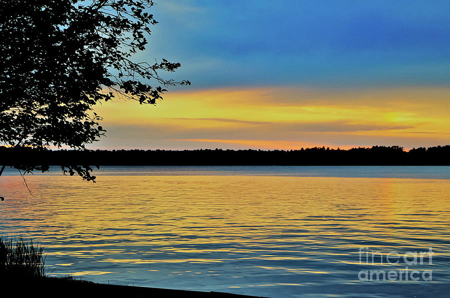 Evening Lake Photograph by Theresa D Williams