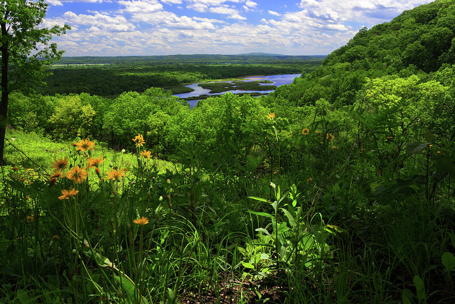 Wisconsin River and Spring Wildflowers from Ferry Bluff Photograph by Peter Herman