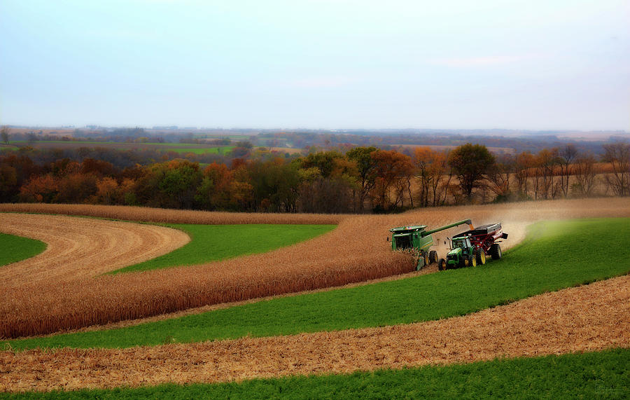 WisContours - Corn harvest on the driftless prairie of SW Wisconsin Photograph by Peter Herman