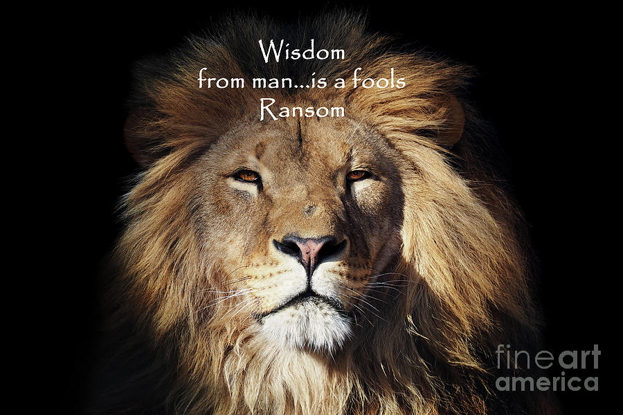 Wisdom Photograph by Sharyl Vallone
